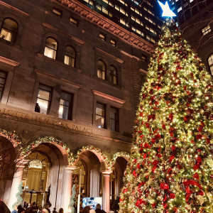 ロッテ ニューヨーク パレス