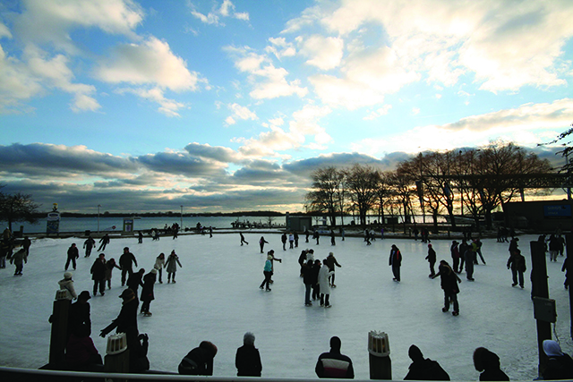 トロントスケートリンク