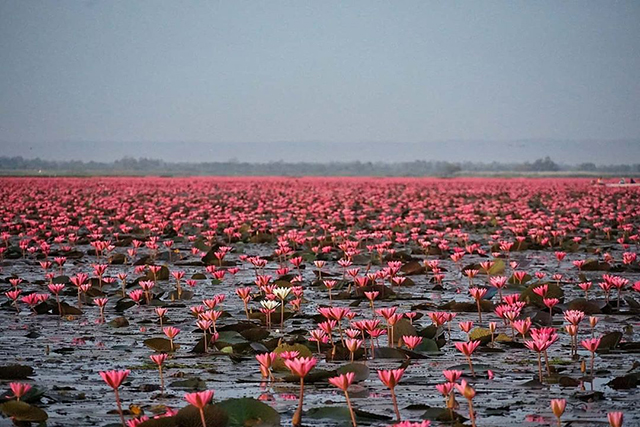 タレーブアデーン