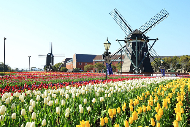 フラワーロード