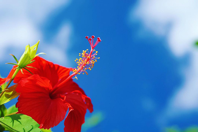 【2020年版】<br>≪定番から穴場まで≫<br>旅好きが選んだ！沖縄の観光スポット８選