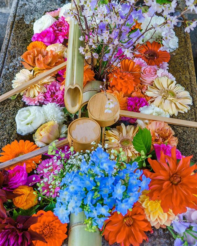 先月みんなどこに行ったの？ 旅好きみんなの3月の国内旅行を公開！