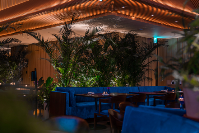 東京エディション虎ノ門　ディナー