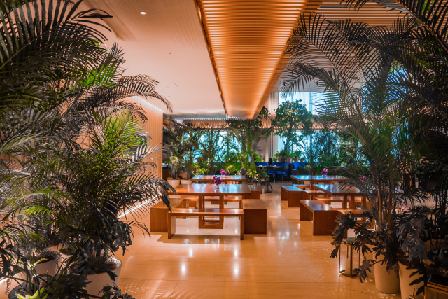 東京エディション虎ノ門　ディナー