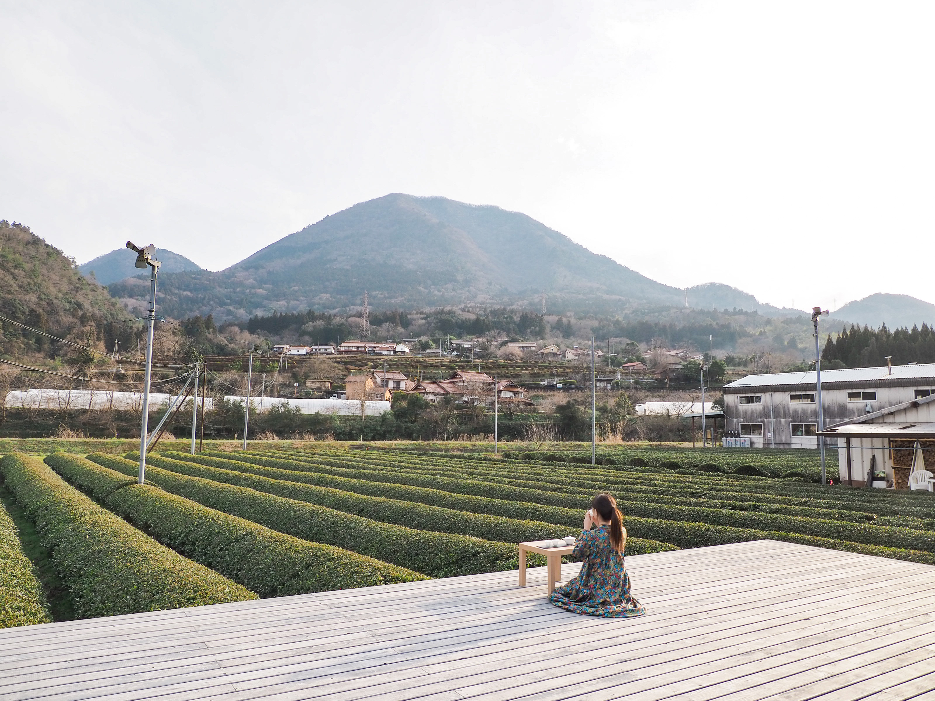 癒しの穴場スポット多数、萩の美しい町並みと津和野の大自然を満喫！