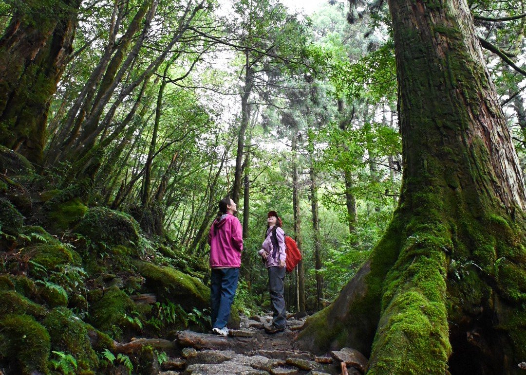 船旅で行く！神秘の島・屋久島3泊4日 トレッキングレポ -アクセス・自然スポット -