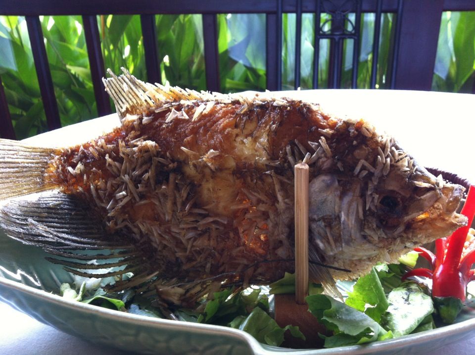 エレファントフィッシュ1 Like The World Magazine