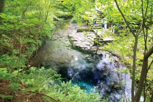 大分 男池湧水群