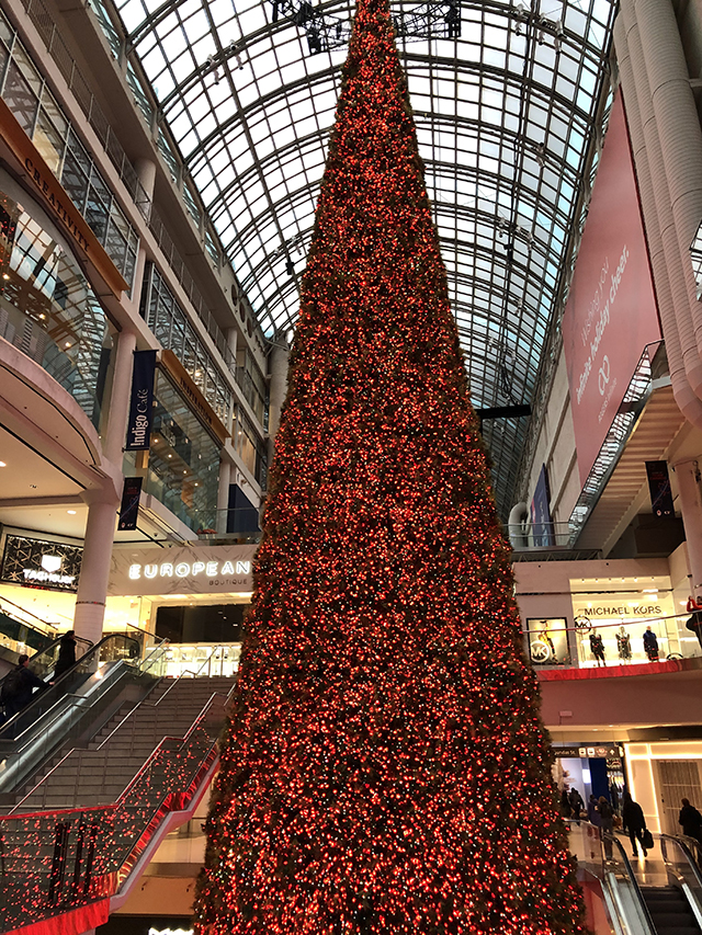最長クリスマスツリー